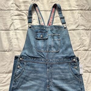 American Eagle Outfitters Denim Baggy Overalls Size XL